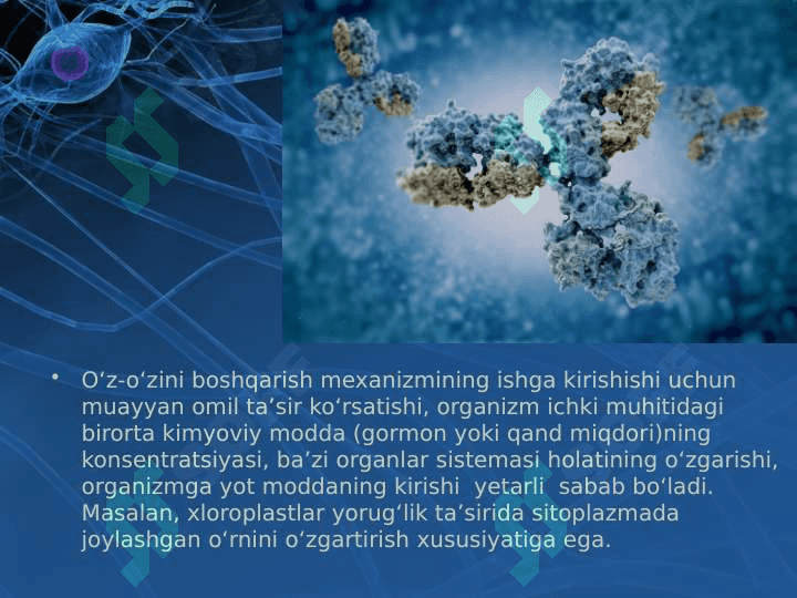 Tirik organizmlarda o‘z-o‘zini idora etish organlari gumoral va nerv 3