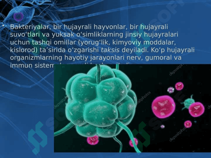 Tirik organizmlarda o‘z-o‘zini idora etish organlari gumoral va nerv 4