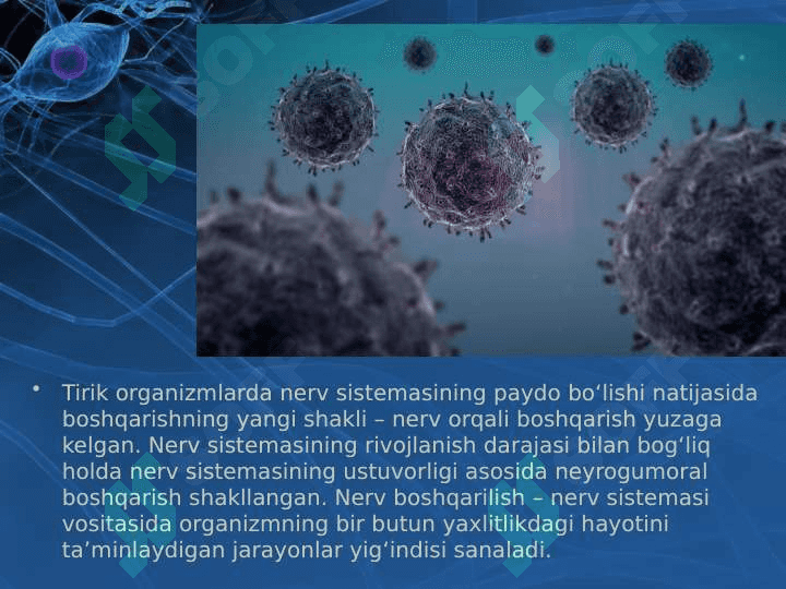 Tirik organizmlarda o‘z-o‘zini idora etish organlari gumoral va nerv 5