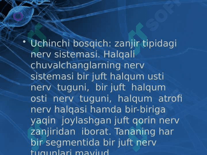 Tirik organizmlarda o‘z-o‘zini idora etish organlari gumoral va nerv 8