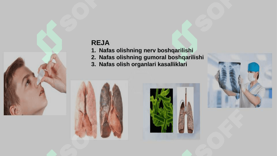 Nafas olishning boshqarilishi.Nafas olish organlari kasalliklari. 2