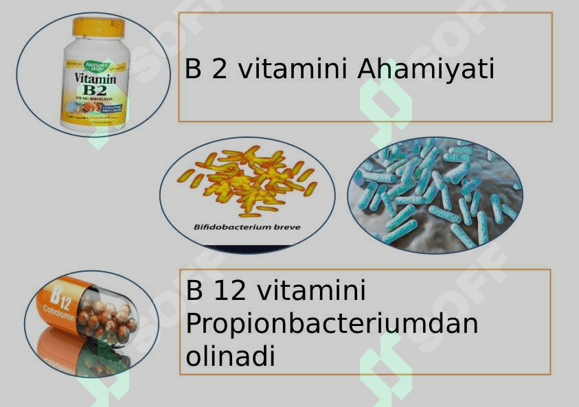 O`simlik va hayvonlar seleksiyasi 7