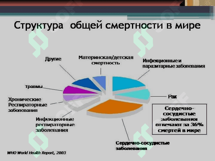 Rak ppt 3