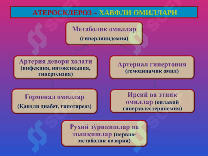 Атеросклероз. Гипертония касаллиги 3