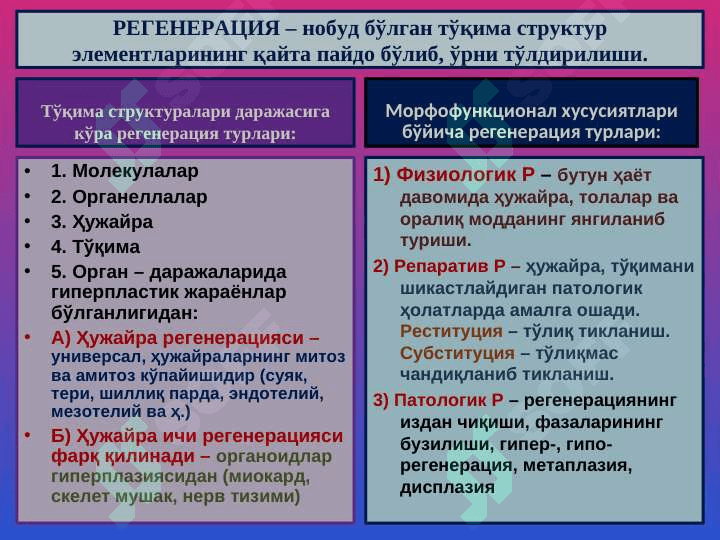 Мосланиш-ўрин алмашиниш жараёнлари 3