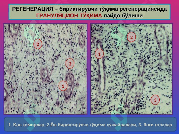 Мосланиш-ўрин алмашиниш жараёнлари 4