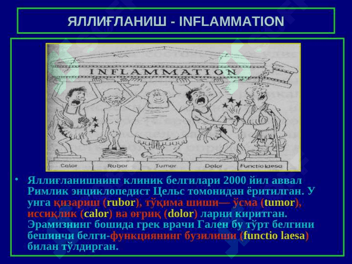 Яллиғланиш 3