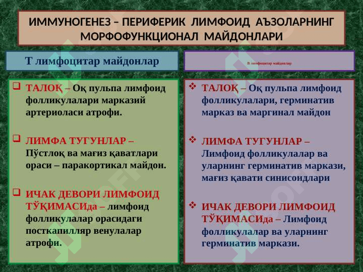 ИММУНОПАТОЛОГИК ЖАРАЁНЛАР 3