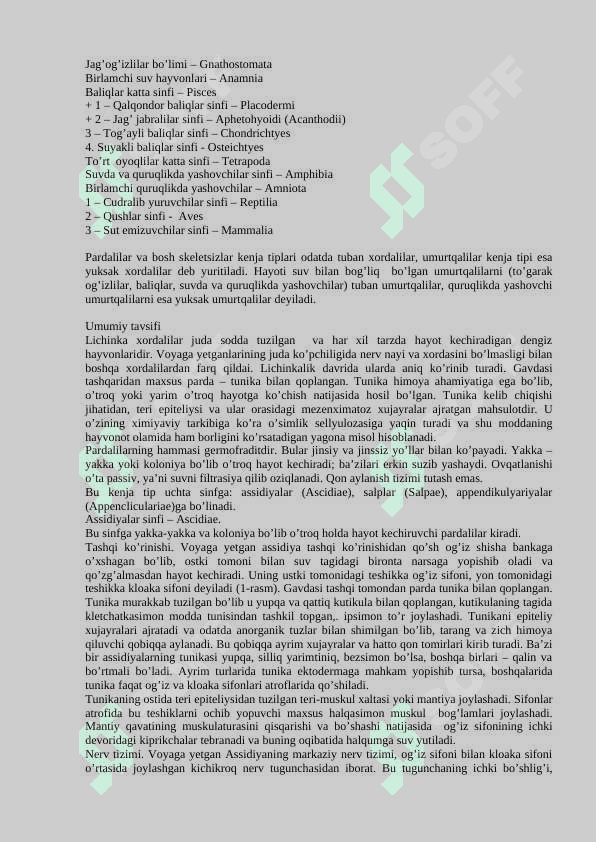 Umurtqalilar zoologiyasi fanining predmeti, o’rganadigan obyekti va vazifalari. Bosh skeletsizlar va umurtqalilar kenja tiplarining umumiy tavsifi 5