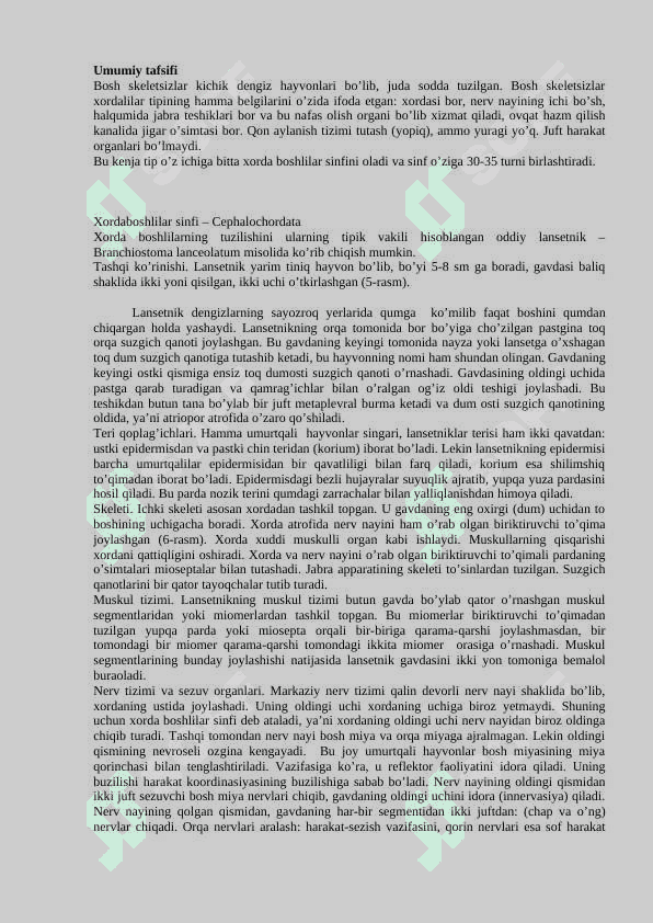 Umurtqalilar zoologiyasi fanining predmeti, o’rganadigan obyekti va vazifalari. Bosh skeletsizlar va umurtqalilar kenja tiplarining umumiy tavsifi 8
