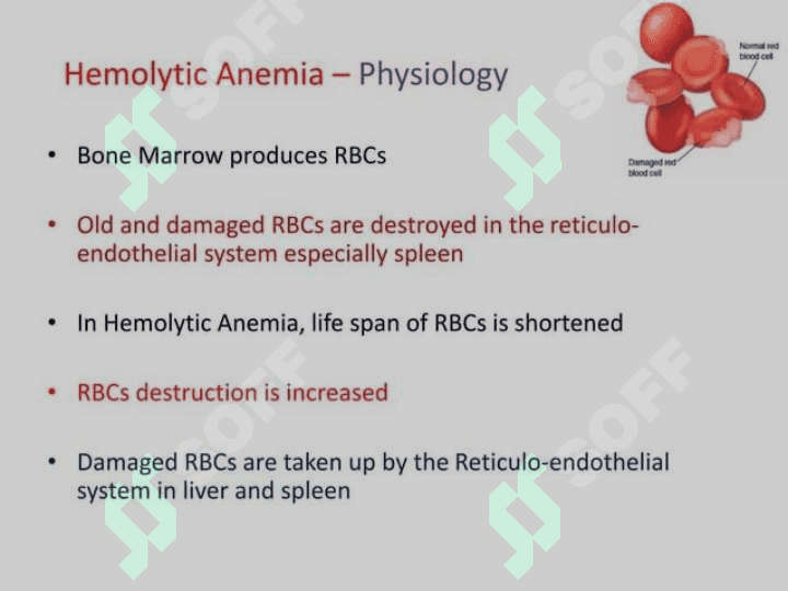 Anemia in children 6