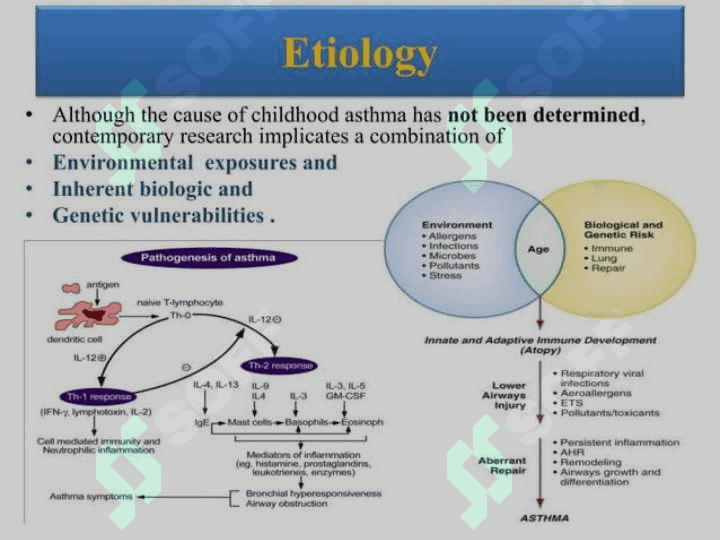 Bronchial Asthma in children 3