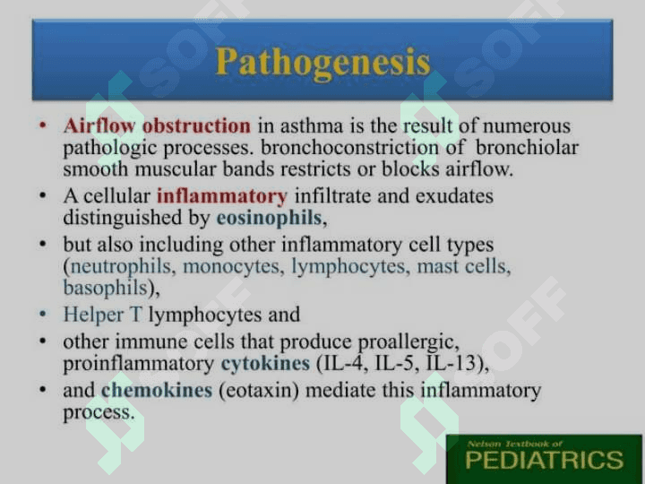 Bronchial Asthma in children 7