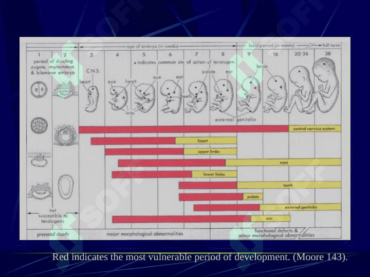 Perinatal Infections Fetal Infection 4