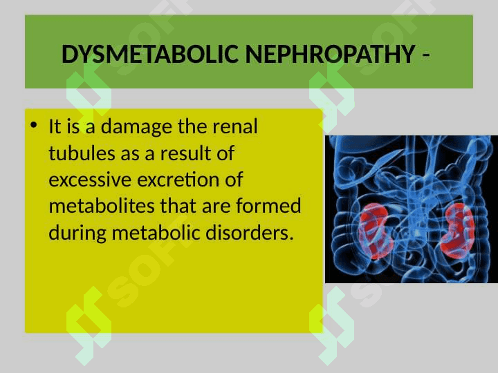 Dysmetabolic nephropathy in children 2