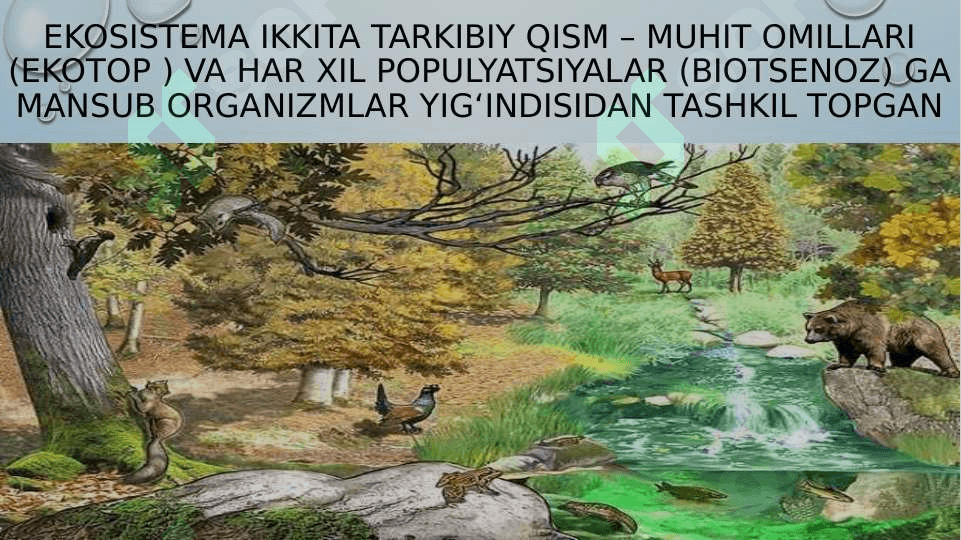 6-sinf. Sciens. EKOSISTEMALARDAGI O`ZARO MUNOSABATLARI 3
