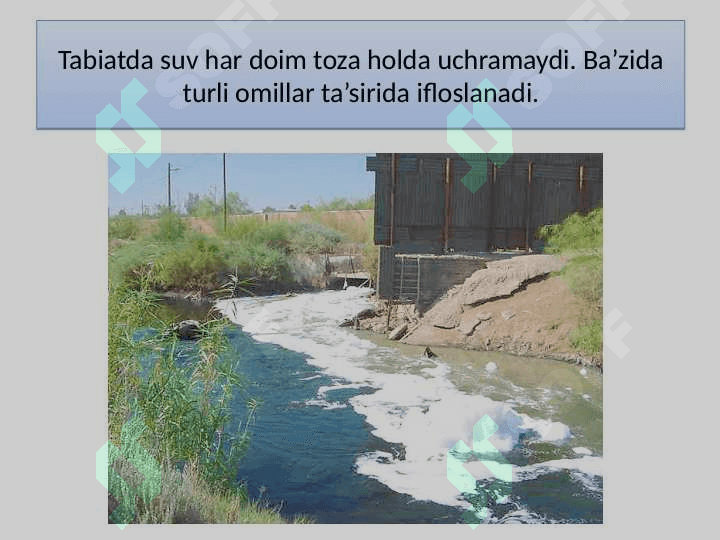 TOZA ICHIMLIK SUVINI OLISH TABIIY FAN 5