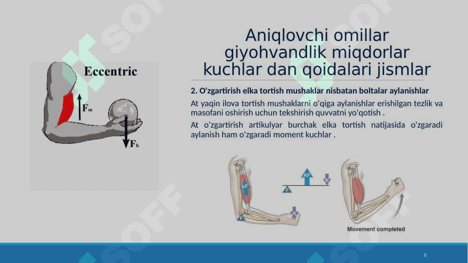 Kuchni rivojlantiruvchi mashqlar 8