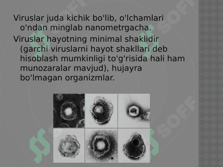 KASALLIK TARQATUVCHI VIRUSLAR 2