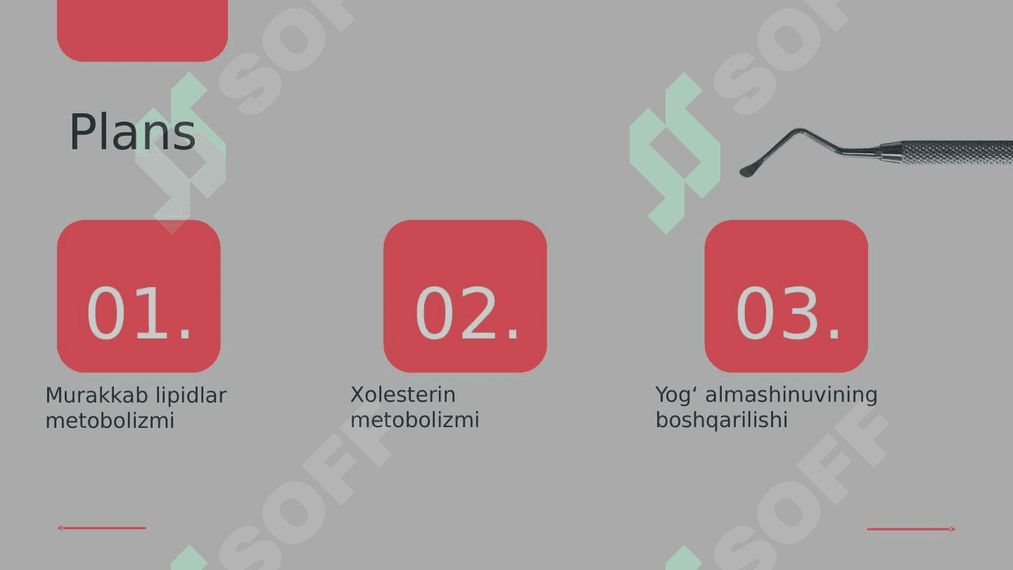 Murakkab lipidlar almashinuvi Xolesterin metobolizmu Yogʻ almashinuvining boshqarilishi 2