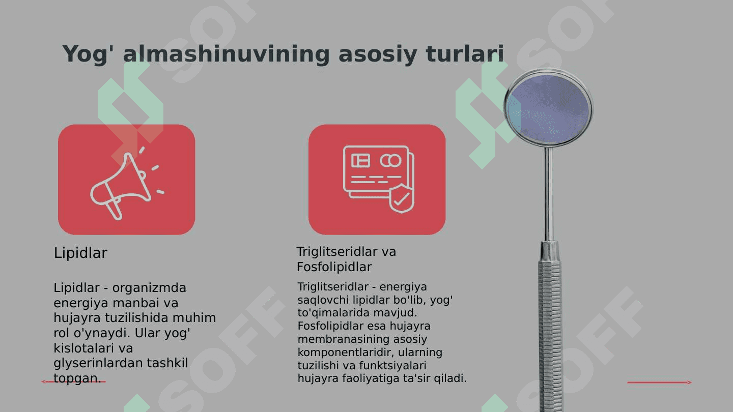 Murakkab lipidlar almashinuvi Xolesterin metobolizmu Yogʻ almashinuvining boshqarilishi 4