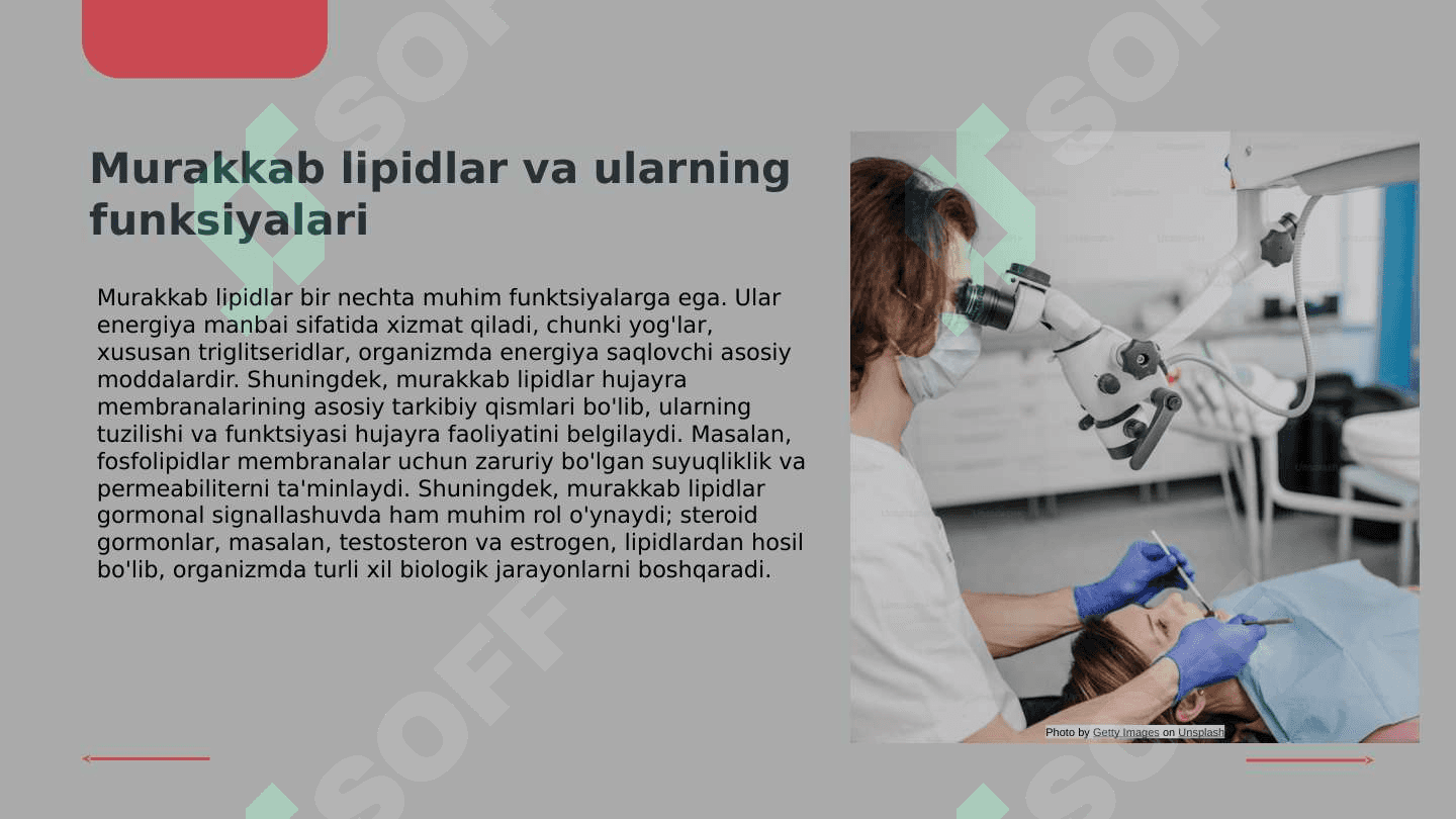 Murakkab lipidlar almashinuvi Xolesterin metobolizmu Yogʻ almashinuvining boshqarilishi 6