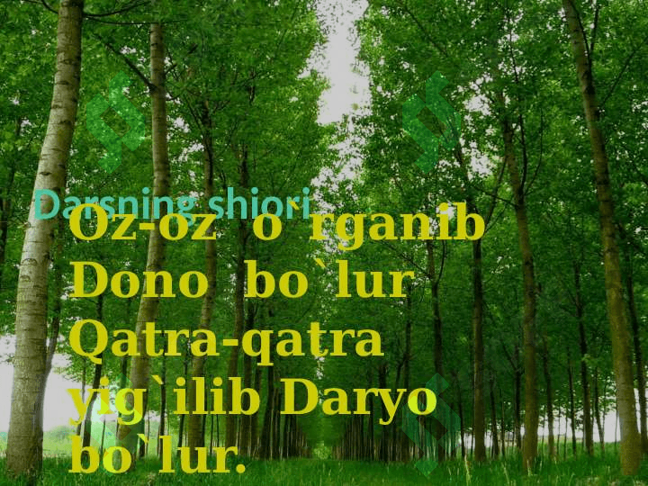 2-sinf. Fan:Ona tili. Mavzu:Kishilarning ismi va familiyasida bosh harf. 2