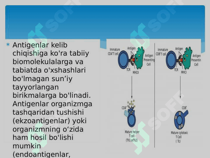 Antigen va antitela 6