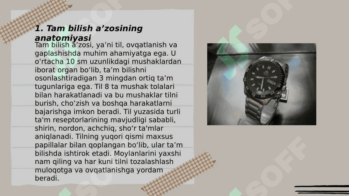 Tam bilish aʼzosi 3