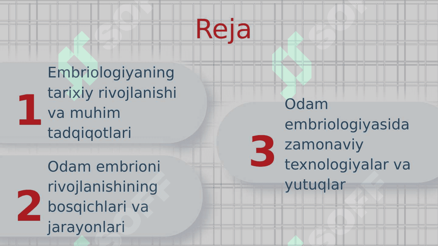 Odam embriologiyasi asoslari 2