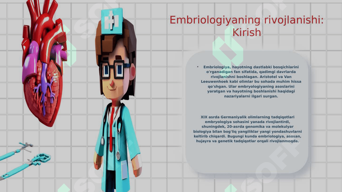 Odam embriologiyasi asoslari 3