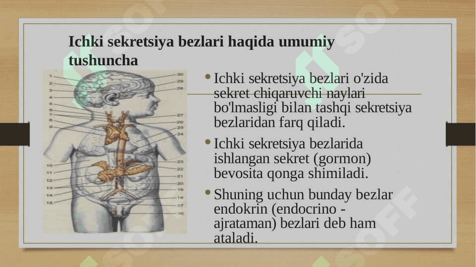 Ichki sekretsiya bezlari va ularning gormonlari 3