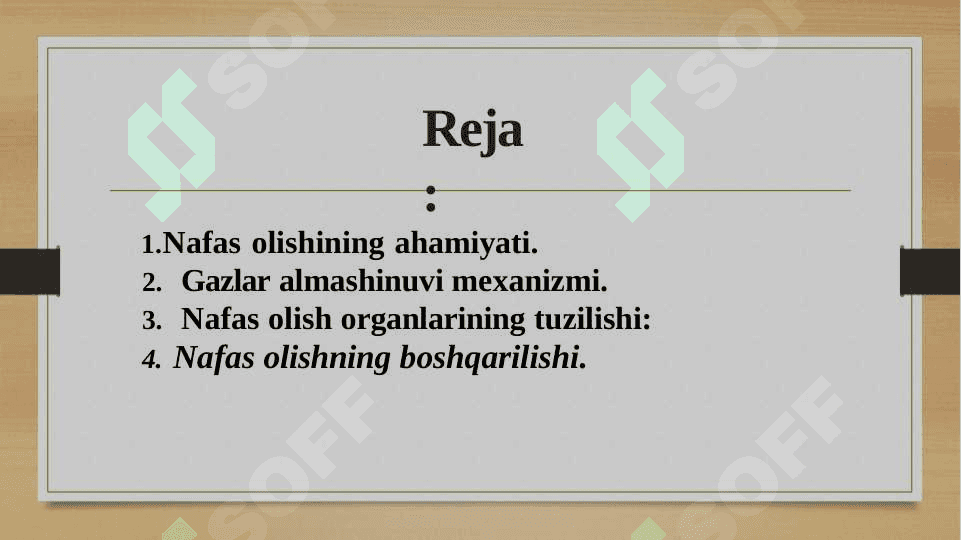 Nafas olish tizimi 2