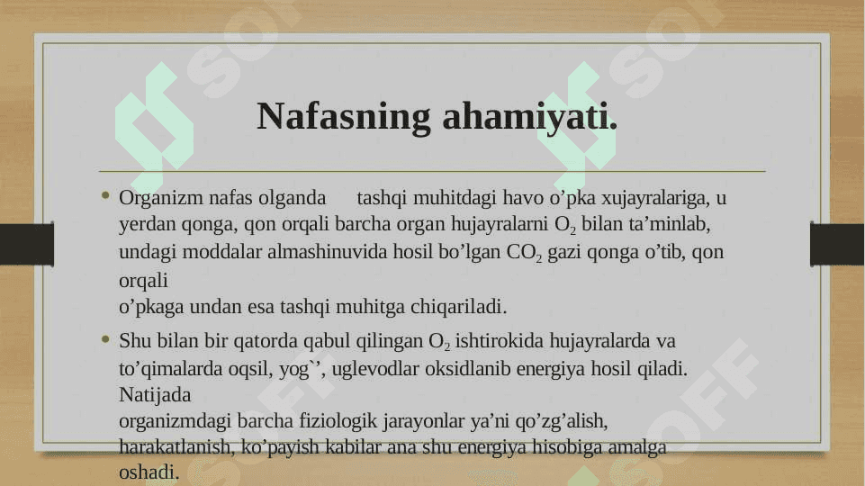 Nafas olish tizimi 4