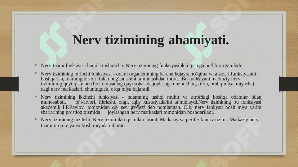 Nerv tizimining ahamiyati 4
