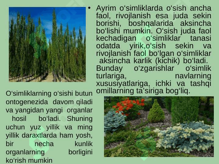 O‘simliklarning o‘sishi va rivojlanishi fiziologiyasi 4