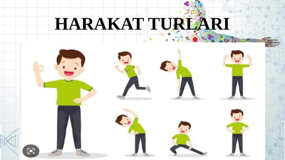 HARAKAT TURLARI TABIIY FAN
