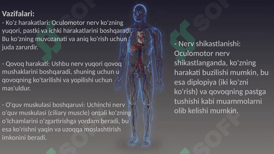 Bosh miyaning 12 juft nervlari 8