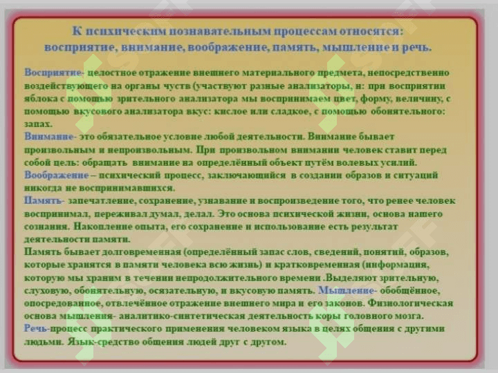 Познавательные процессы и развитие речи в раннем детстве 3