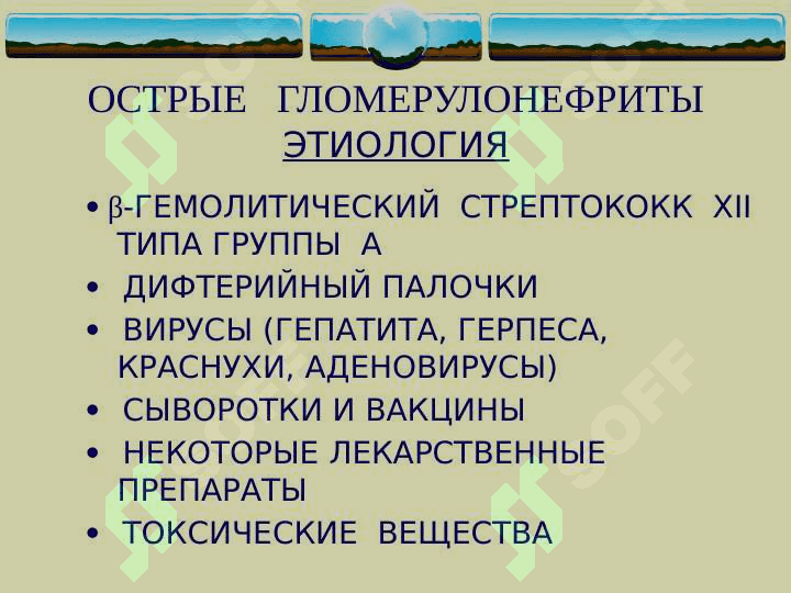 Glomerulonefrit  (rus) ppt 8