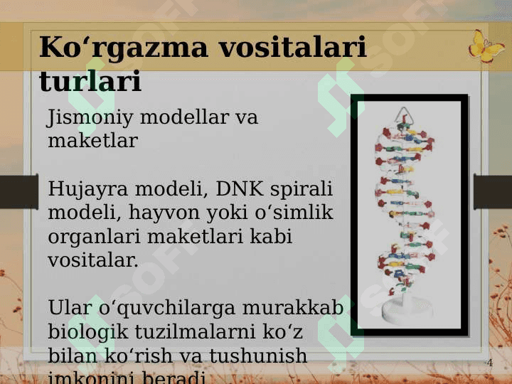 Biologiyani oʻqitishda foydalaniladigan koʻrgazma vositalari turlari va ularni darslarda uygʻunlashtirish muammolari 4