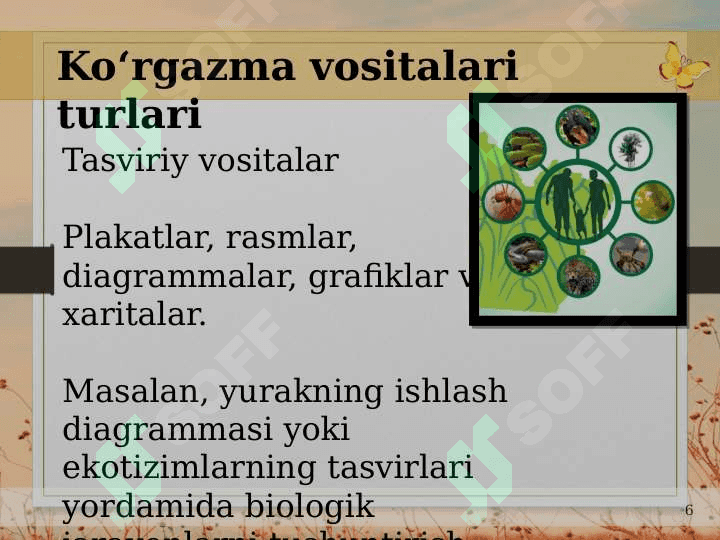 Biologiyani oʻqitishda foydalaniladigan koʻrgazma vositalari turlari va ularni darslarda uygʻunlashtirish muammolari 6