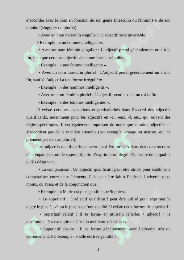 L'adjectif et ses types dans la langue française 8
