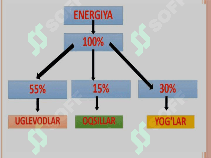 Krebs sikli va uning energetikasi 5