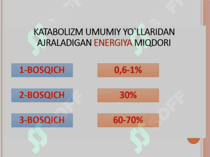 Krebs sikli va uning energetikasi 7