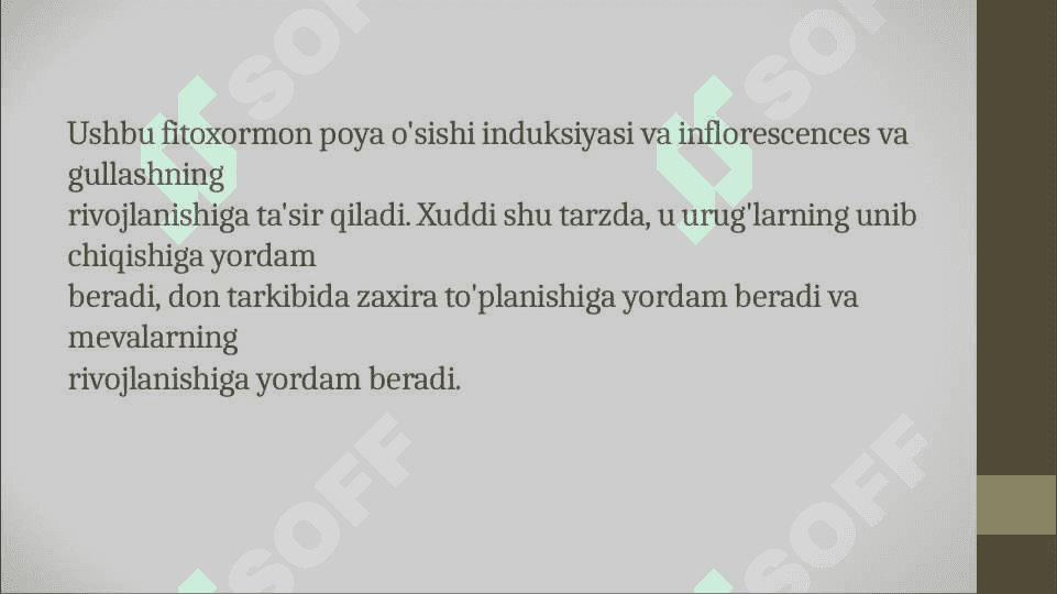 Fitogormonlar-fizilogik faol moddalar 7