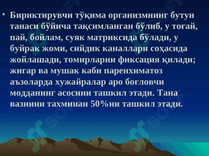 Бириктирувчи тукима биокимёси 3