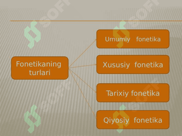 Hozirgi  zamon ona tilining fonetika tizimi 6