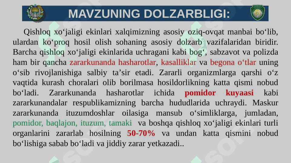 BITIRUV MALAKAVIY ISHI TAQDIMOTI. Pomidor kuyasi 3
