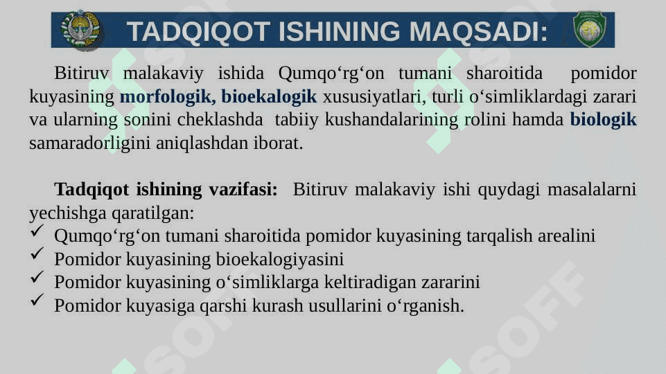 BITIRUV MALAKAVIY ISHI TAQDIMOTI. Pomidor kuyasi 6